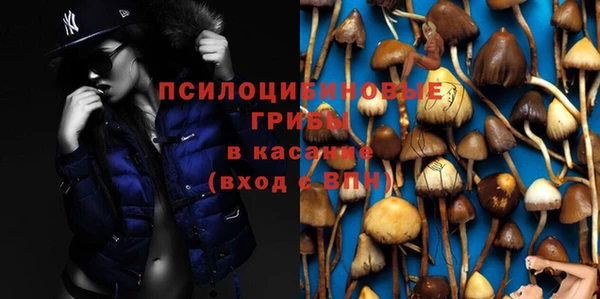 мяу мяу мука Надым